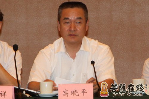 江苏省残联理事长高晓平